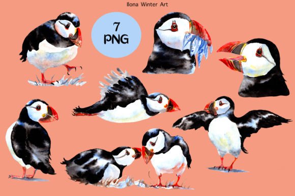 Watercolor Puffin Birds Clip Art Set: A Versatile Resource for Creative Projects